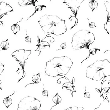 Seamless pattern of convolvulus retro vintage. Illustrazione stock