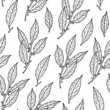 Seamless pattern with cooking herbs and spices. Stock Illustration