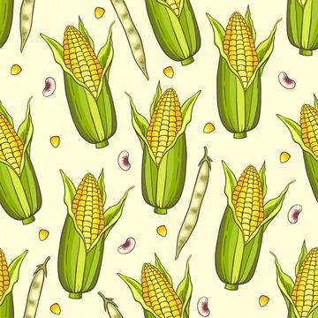 Seamless pattern with corn and beans. Stock Illustration