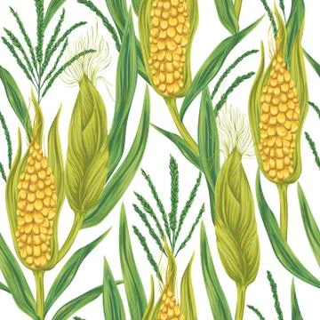 Seamless pattern with corn. Cobs, blossom branch and leaf. Stock Illustration