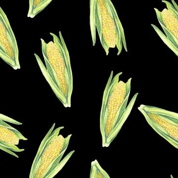 Seamless Pattern of corn cobs with leaves on black background. Eco vegetables Illustrazione stock