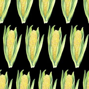 Seamless Pattern of corn cobs with leaves on black background. Eco vegetables Stock Illustration