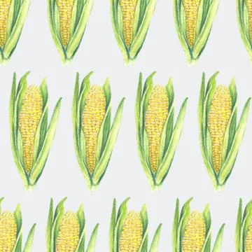 Seamless Pattern of corn cobs with leaves on gray background. Eco vegetables Stock Illustration