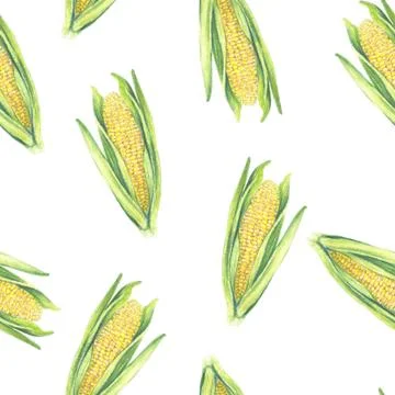 Seamless Pattern of corn cobs with leaves on white background. Eco vegetables Illustrazione stock
