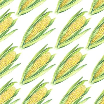 Seamless Pattern of corn cobs with leaves on white background. Eco vegetables Illustrazione stock
