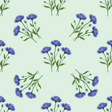Seamless pattern with cornflowers. Stock Illustration