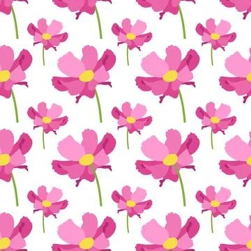 Seamless pattern of cosmea flowers. Vector. Stock Illustration