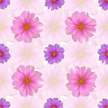 Seamless pattern with cosmos flower Stock Illustration