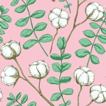 Seamless pattern with cotton and eucalyptus branches. Vector illustration i.. Stock Illustration