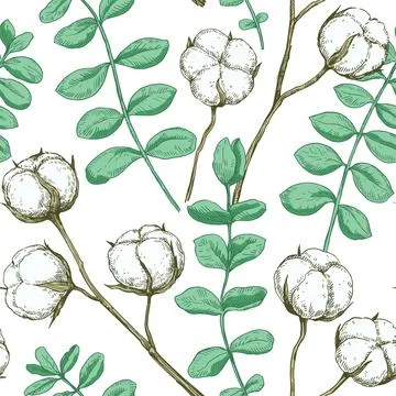 Seamless pattern with cotton and eucalyptus branches. Vector illustration i.. イラスト素材