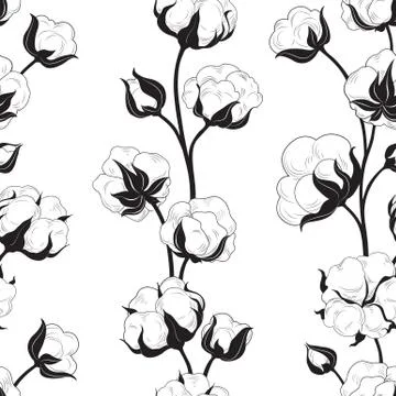 Seamless pattern with cotton bolls and branch. Cotton flowers and balls Stock Illustration