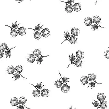 Seamless pattern cotton plant sketch hand drawn Illustrazione stock