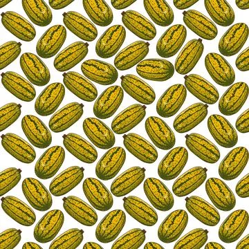 Seamless pattern with Courge Spaghetti Squash Stock Illustration