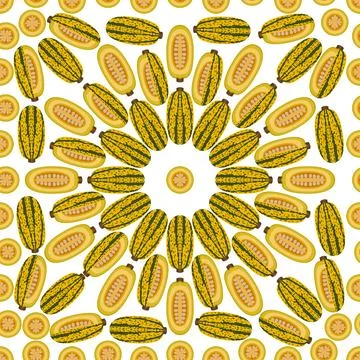 Seamless pattern Courge Spaghetti Squash Flat Stock Illustration