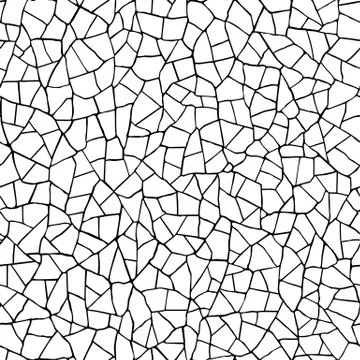 Seamless pattern.The cracks texture white and black. Stock Illustration