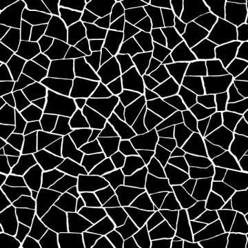Seamless pattern.The cracks texture white and black. Stock Illustration