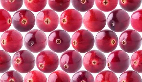 Seamless pattern with cranberries Stock Photos