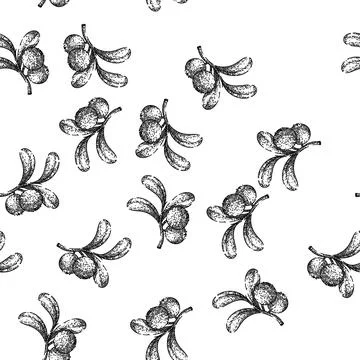 Seamless pattern cranberry cowberry red sketch hand drawn Stock Illustration