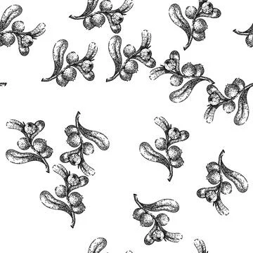 Seamless pattern cranberry cowberry wild sketch hand drawn Stock Illustration