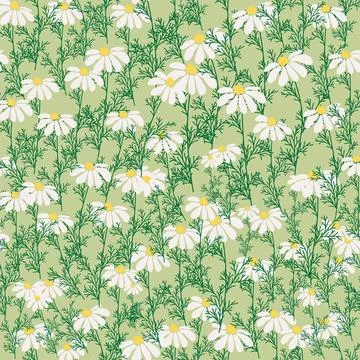 Seamless pattern Creative floral print with chamomile flowers, leaves in ha.. Stock Illustration