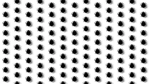 Seamless pattern of creepy black beetles and bugs on white background for H.. Stock Illustration