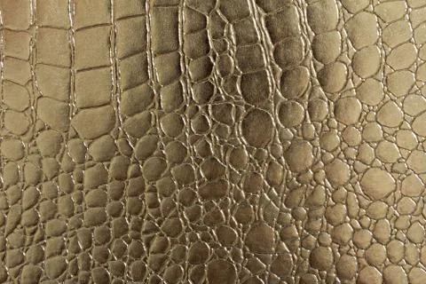 Seamless pattern of crocodile textured leather Fotos de archivo