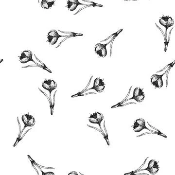 Seamless pattern crocus crocus sketch hand drawn Stock Illustration