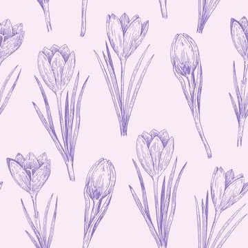 Seamless pattern with crocus flowers in sketchy realistic style. Hand-drawn.. 스톡 일러스트