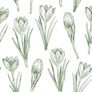 Seamless pattern with crocus flowers in sketchy realistic style. Hand-drawn.. 스톡 일러스트