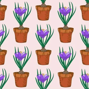 Seamless pattern with crocus in the pot. Vintage vector art. Stock Illustration
