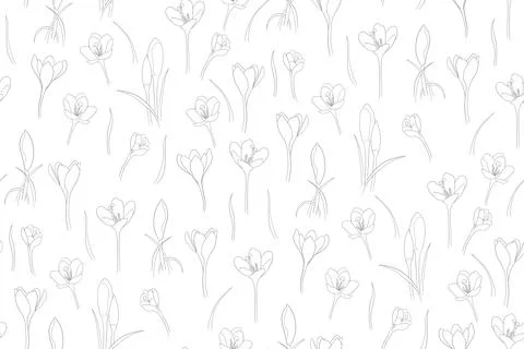 Seamless pattern of crocuses in one line Illustrazione stock