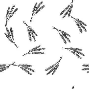Seamless pattern crop wheat sketch hand drawn Stock Illustration