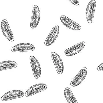 Seamless pattern cucumber cut sketch hand drawn Stock Illustration