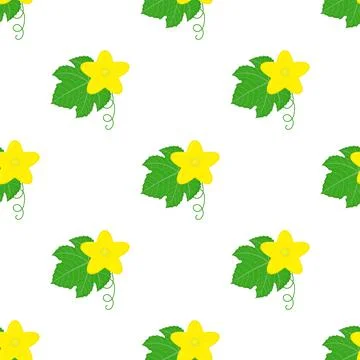 Seamless pattern with cucumber or kiwano leaves and flowers isolated on white Stock Illustration