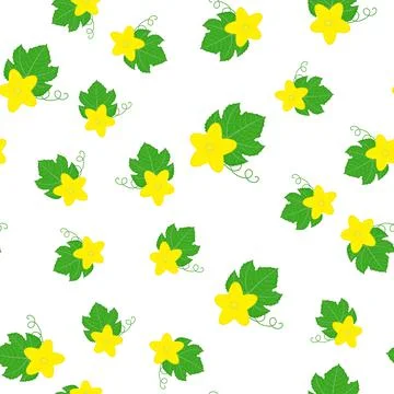 Seamless pattern with cucumber or kiwano leaves and flowers isolated on white Stock Illustration