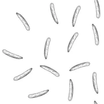 Seamless pattern cucumber vegetable sketch hand drawn 스톡 일러스트