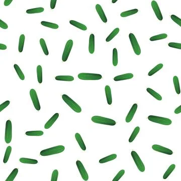 Seamless pattern with cucumber on white background Stock Illustration