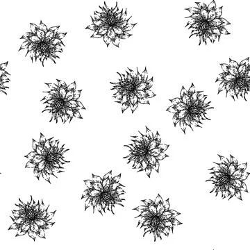 Seamless pattern cumin nigella sativa sketch hand drawn Illustrazione stock