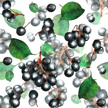 Seamless pattern, currant branch, watercolor Stock Illustration