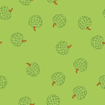 Seamless pattern custard apple fruit drawing on white background Stock Illustration