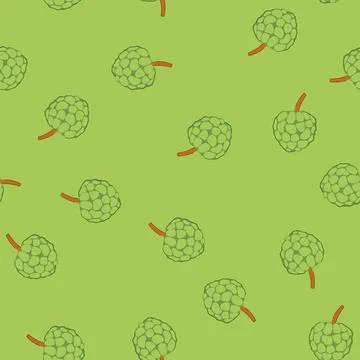 Seamless pattern custard apple fruit drawing on white background Stock Illustration