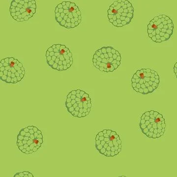 Seamless pattern custard apple vector drawing illustrating fresh tropical fru イラスト素材