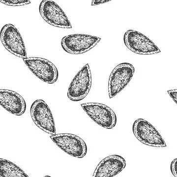 Seamless pattern cut grapefruit red sketch hand drawn Stock Illustration