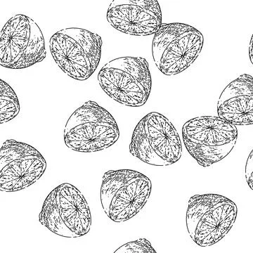 Seamless pattern cut lemon sketch hand drawn Stockillustratie
