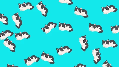 Seamless Pattern of Cute Black and White Tuxedo Kittens on Bright Blue Stock-Footage 345540020