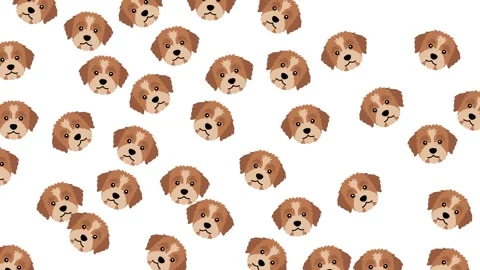 Seamless pattern with cute brown and white puppy dog faces on white background Stock-Footage 345539268
