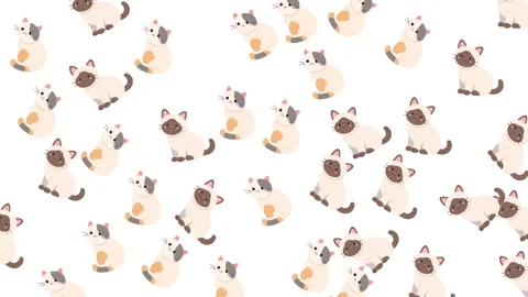 Seamless pattern of cute cartoon cats and kittens on a white background Stock-Footage 345539253