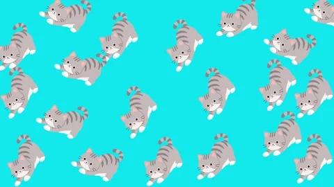 Seamless Pattern of Cute Cartoon Grey Tabby Cats on a Bright Blue Background Stock Footage 345540002
