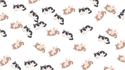 Seamless pattern of cute cartoon kittens in playful poses on white background Stock-Footage 345539251