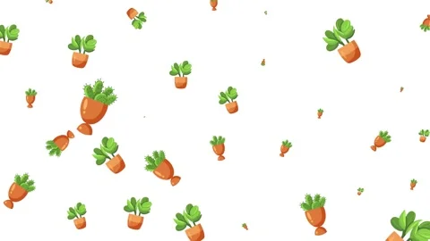 Seamless pattern of cute cartoon potted plants and cacti on white background Stock Footage 345539464
